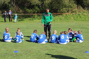 爱游戏体育-五大联赛核心球员缺阵时教练战术应变差异分析，五大联赛主教练工资排名