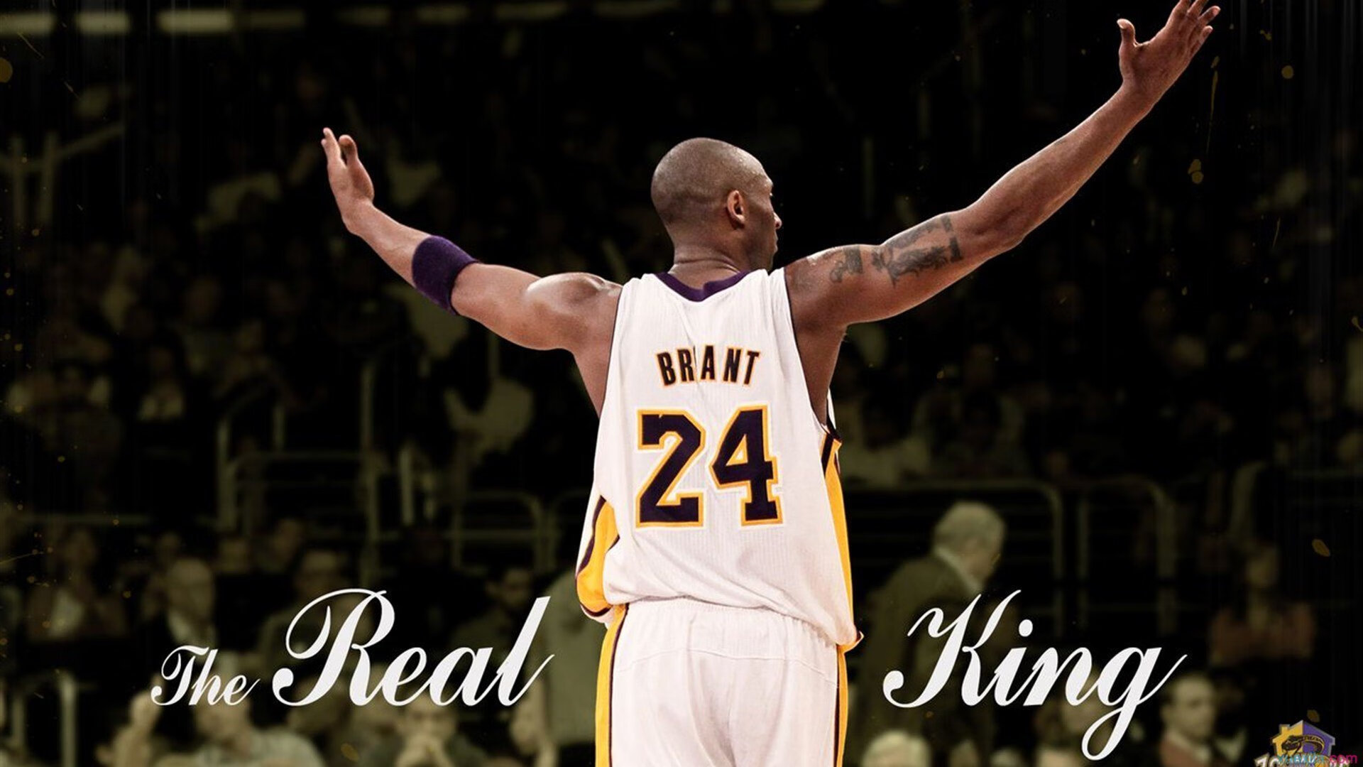 体育新闻中心荣获体育科技创新大奖，体育创新项目